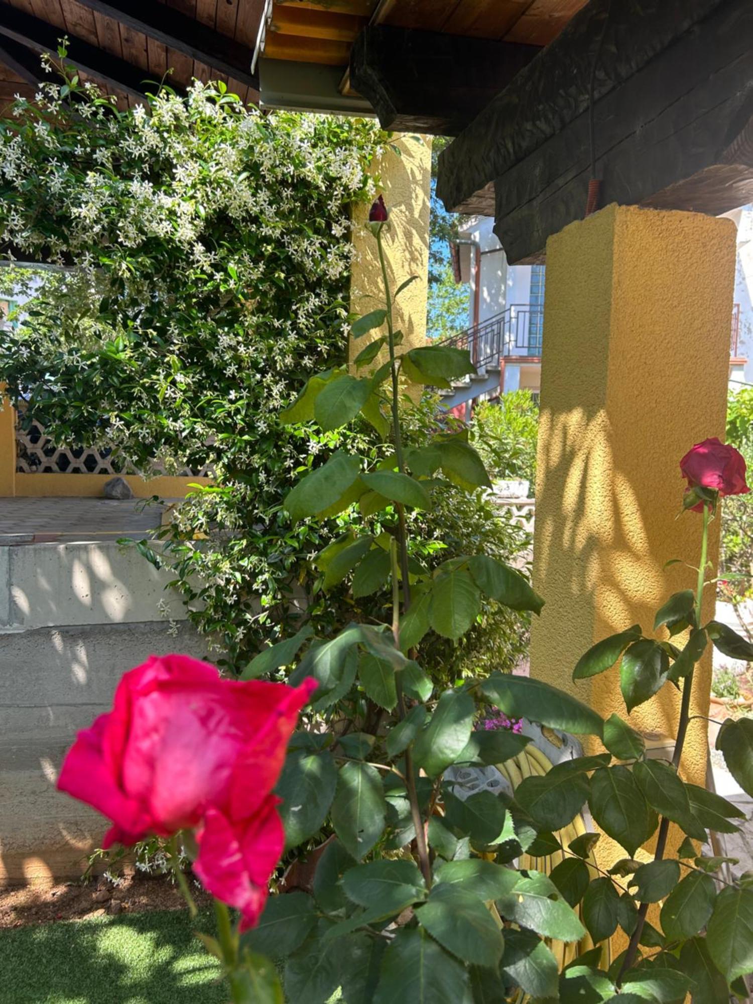 Apartmani Grguric คอร์นิช ภายนอก รูปภาพ