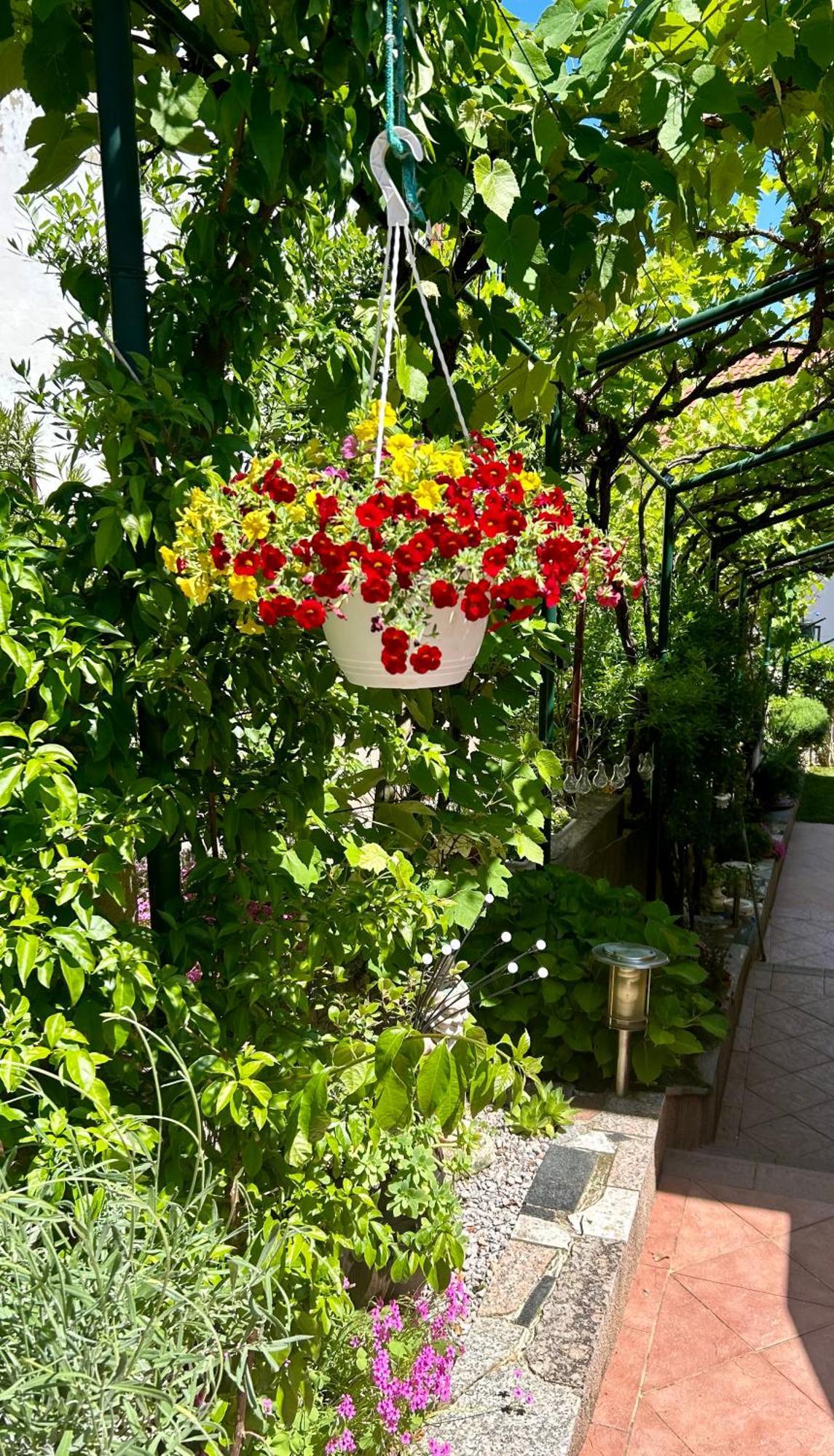 Apartmani Grguric คอร์นิช ภายนอก รูปภาพ