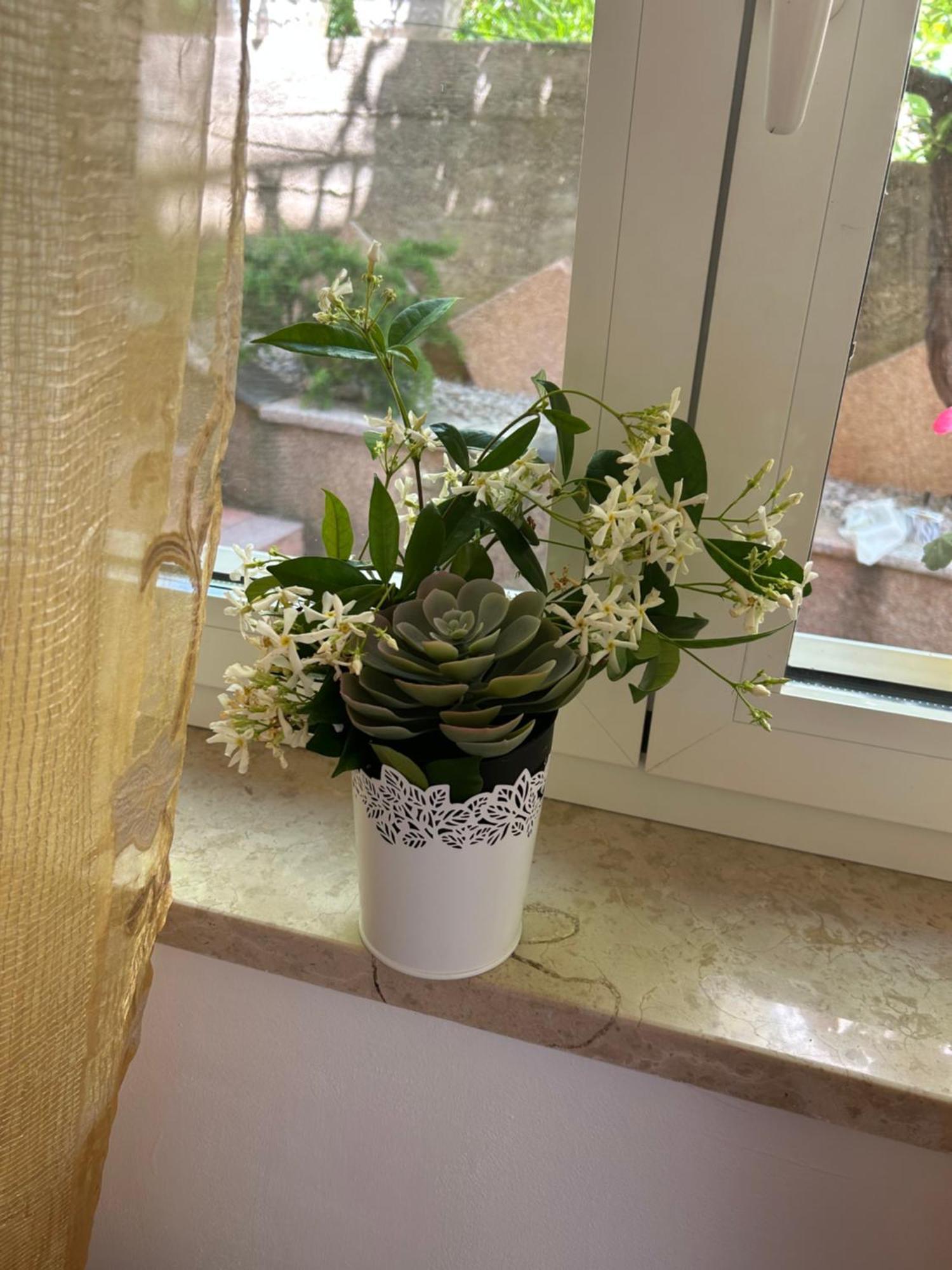 Apartmani Grguric คอร์นิช ภายนอก รูปภาพ